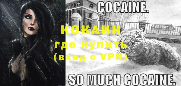 спиды Покачи