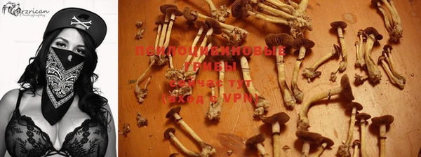 спиды Покачи