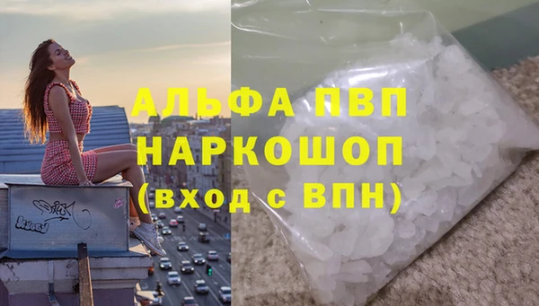 спиды Покачи