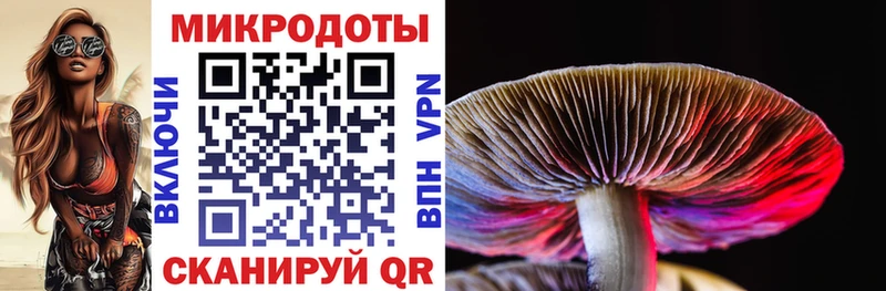 Галлюциногенные грибы мухоморы  blacksprut как зайти  Западная Двина  купить  цена 